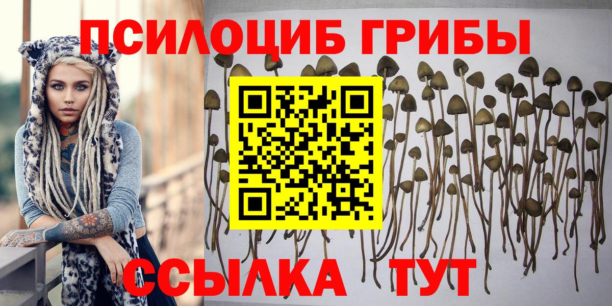 Псилоцибиновые грибы GOLDEN TEACHER Архангельск